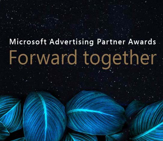Microsoft partner awards