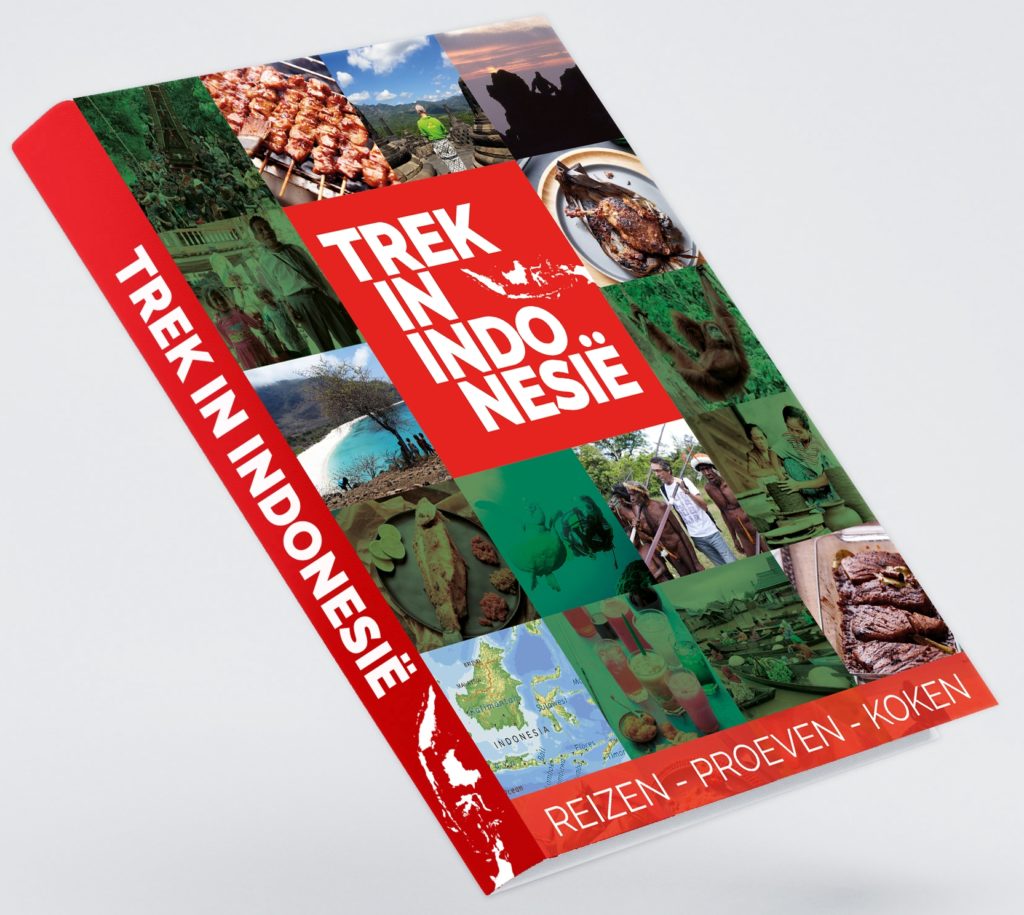 trek in indonesie merapi tour & travel