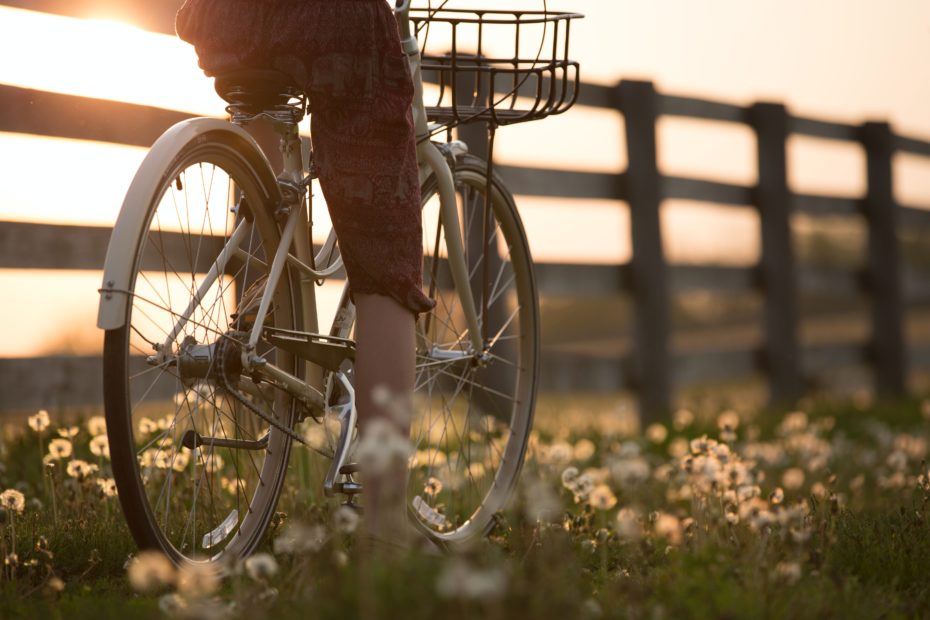 Fietsvakanties