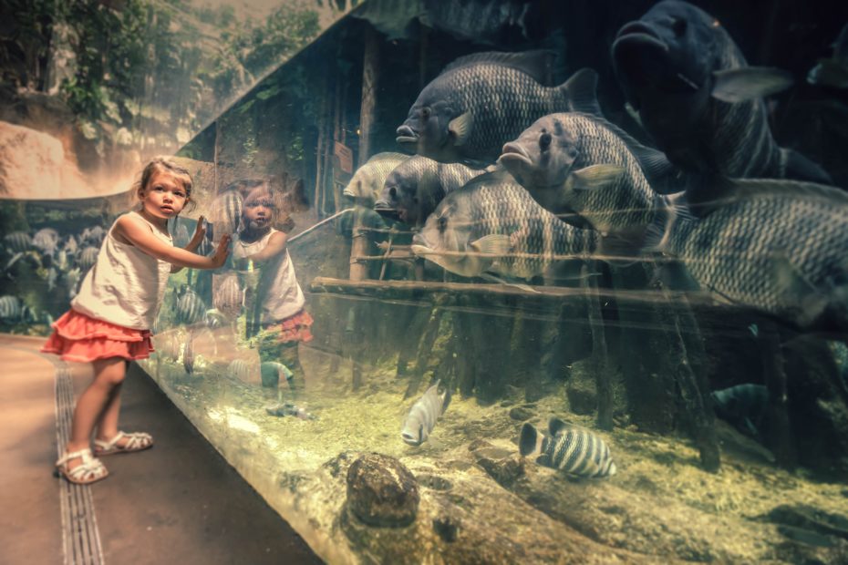 Dierenpark